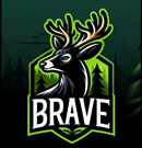 Equipo BRAVE