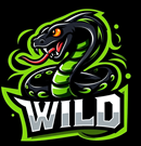 Equipo WILD